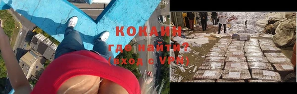 ПСИЛОЦИБИНОВЫЕ ГРИБЫ Михайлов