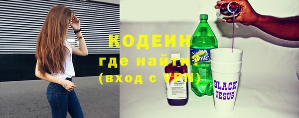 хмурый Михайловск