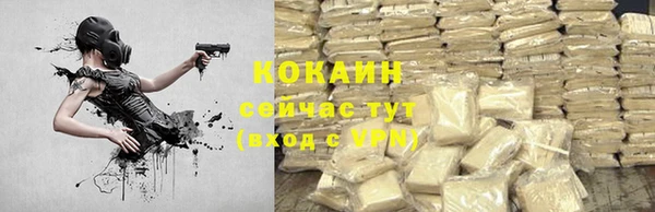 хмурый Михайловск