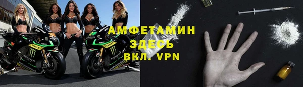 ПСИЛОЦИБИНОВЫЕ ГРИБЫ Михайлов