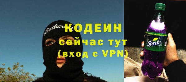 ПСИЛОЦИБИНОВЫЕ ГРИБЫ Михайлов