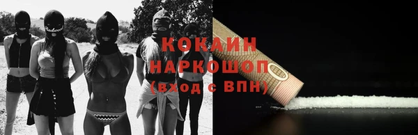 ПСИЛОЦИБИНОВЫЕ ГРИБЫ Михайлов