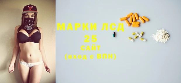 ПСИЛОЦИБИНОВЫЕ ГРИБЫ Михайлов
