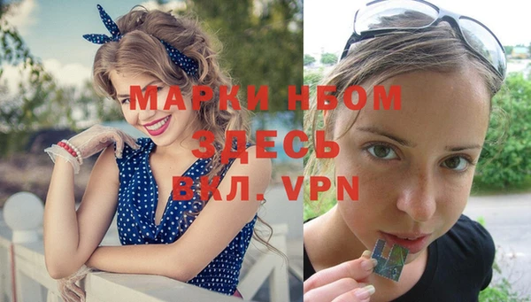 ПСИЛОЦИБИНОВЫЕ ГРИБЫ Михайлов