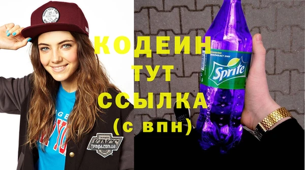 хмурый Михайловск