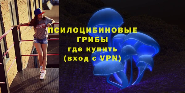 хмурый Михайловск