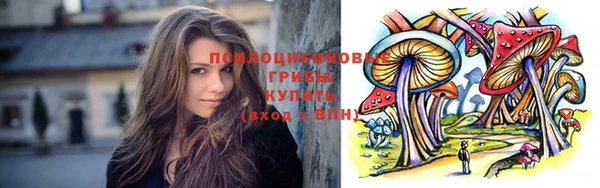 ПСИЛОЦИБИНОВЫЕ ГРИБЫ Михайлов
