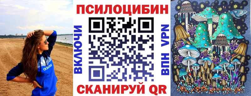где продают   Шали  Псилоцибиновые грибы мухоморы 